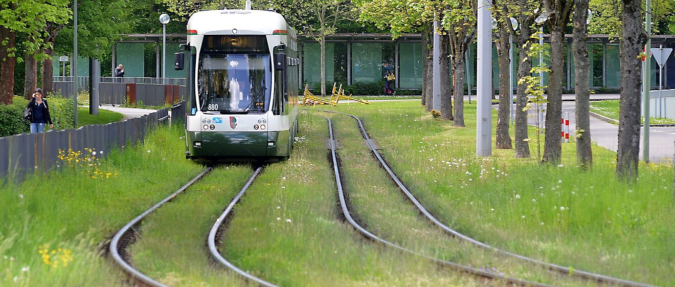 Straßenbahn auf Schienen. Ist von Bäumen umgeben. Weiterverlinkung auf die swa Bus & Tram-Seite