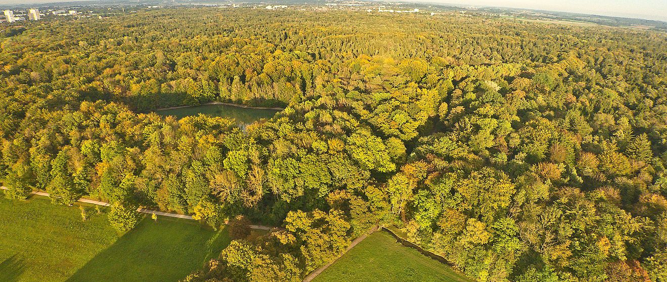 Vogelperspektive des Augsburger Stadtwalds mit einem Teich in der Mitte