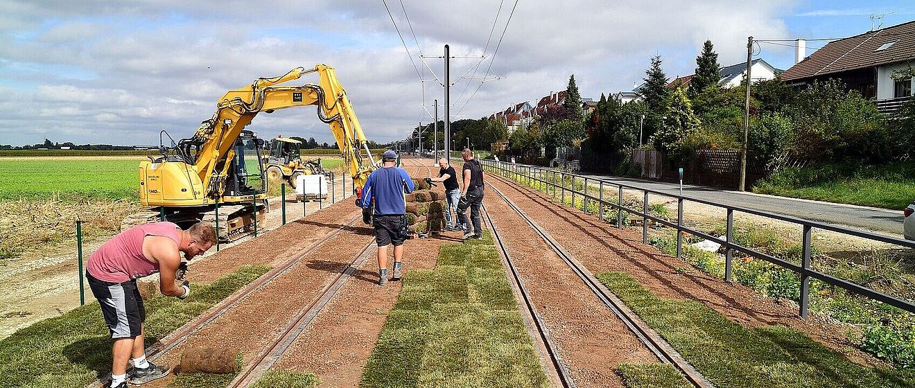 Männer verlegen Rasen zwischen den Gleisen.