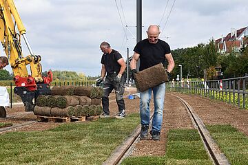 Mann hat eine Rolle Rasen in der Hand. - Beim anklicken wird das Bild vergrößert.